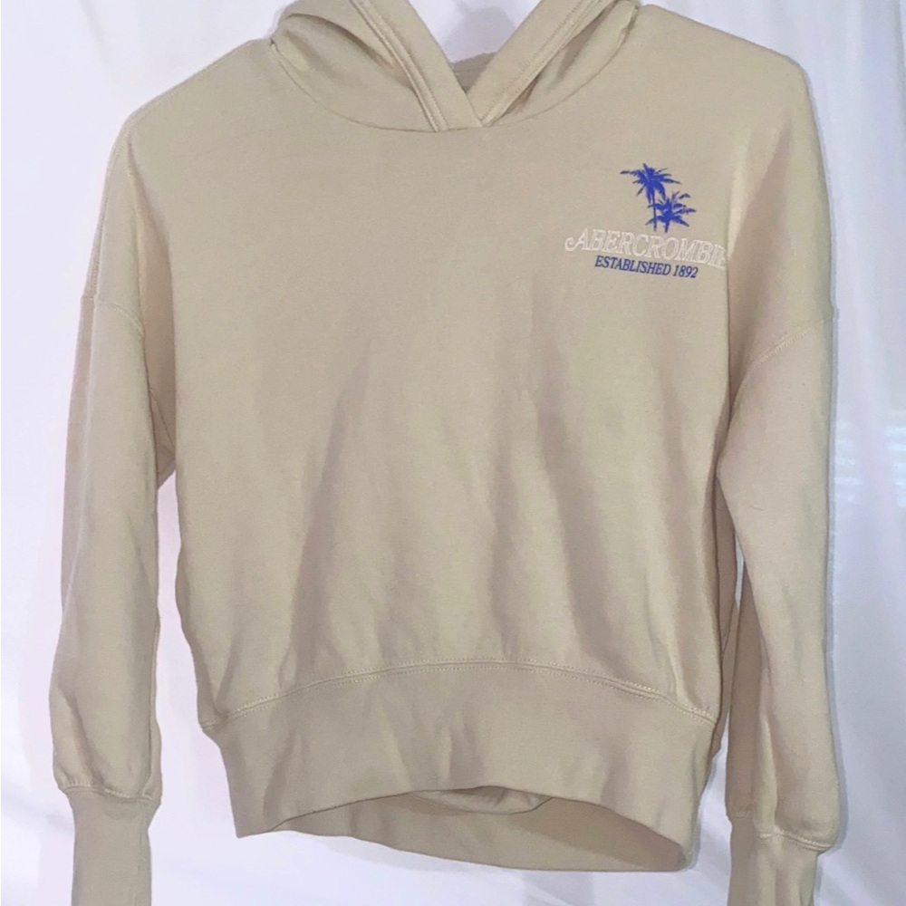 abercrombie kids Beige Hoodie with Blue Palm Logo
